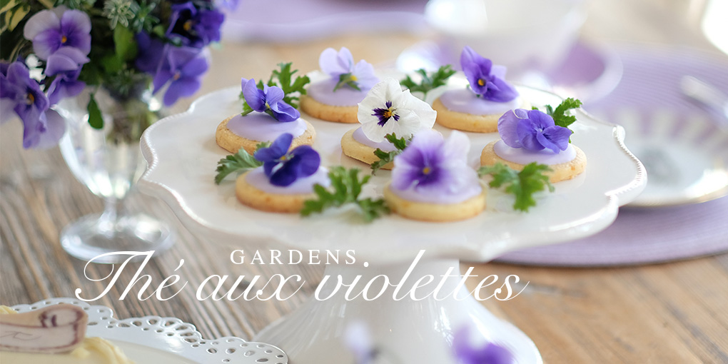 3月15日 神戸本店 季節の花遊びとすみれのお茶会のお知らせ