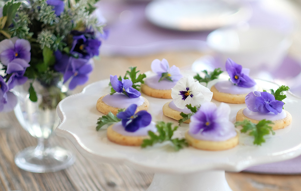 3月15日 すみれのお茶会のお知らせ
