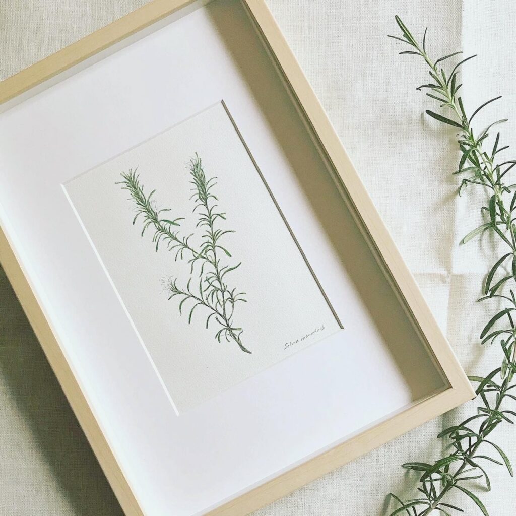 植物画